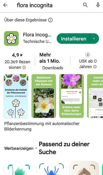 Zittern-Beitrag-Bild