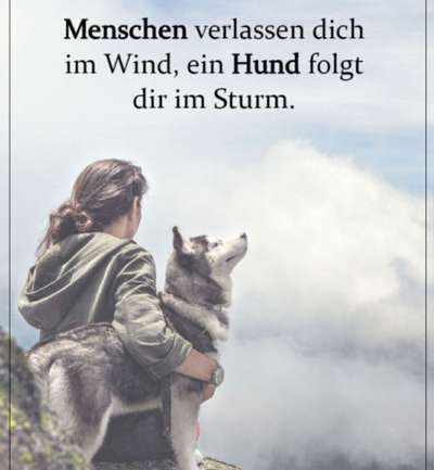 Warum darf der Hund nicht Kinderersatz sein?-Beitrag-Bild