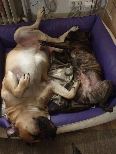 Zeigt mir eure Lieblingsfotos ♡♡-Beitrag-Bild