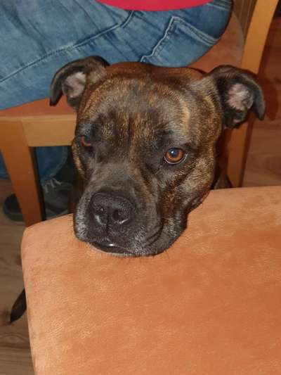 Zeigt mir eure Lieblingsfotos ♡♡-Beitrag-Bild