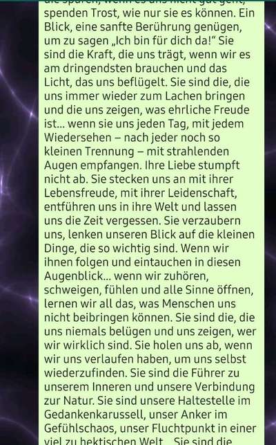 Mischling oder Reinrassig-Beitrag-Bild