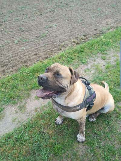 Zeigt mir eure Lieblingsfotos ♡♡-Beitrag-Bild