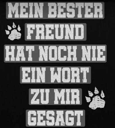 Hundesprüche-Beitrag-Bild