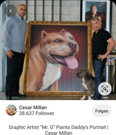 Cesar Milan - Pro und Contra-Beitrag-Bild
