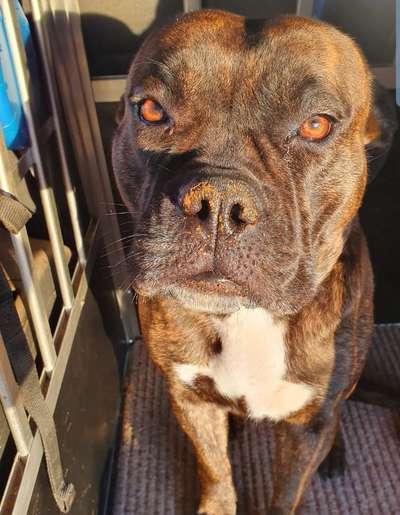 Zeigt mir doch mal eure Dreckspätze-Beitrag-Bild