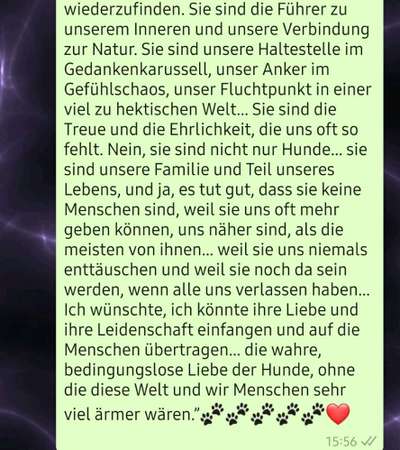 Mischling oder Reinrassig-Beitrag-Bild