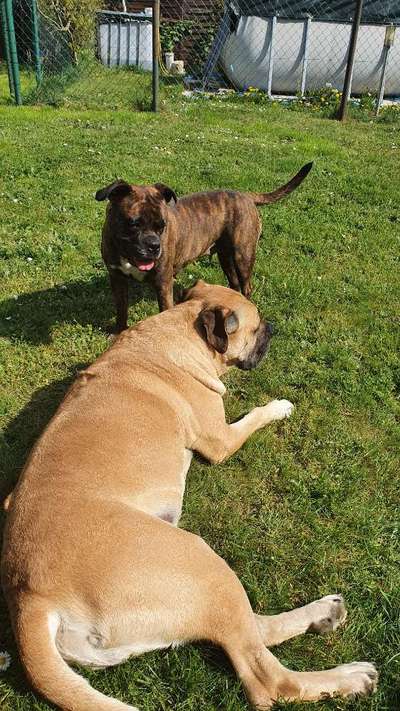 Groß oder Klein?-Beitrag-Bild