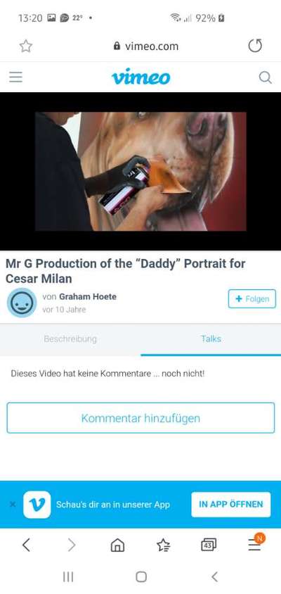 Cesar Milan - Pro und Contra-Beitrag-Bild