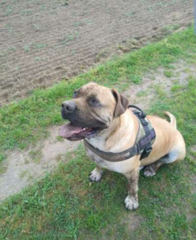 Zeigt mir doch mal eure Dreckspätze-Beitrag-Bild