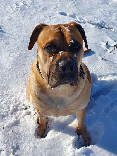 Zeigt mir eure Lieblingsfotos ♡♡-Beitrag-Bild