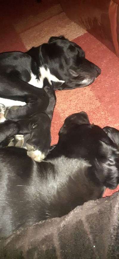 Verrückte Schlafpositionen-Beitrag-Bild