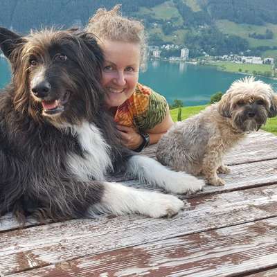 Brigitte's Profilbild