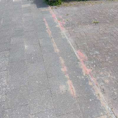 Giftköder-Ameisengift Rotes Pulver-Bild