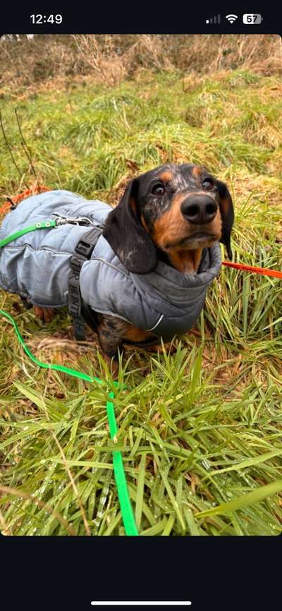 Angst vor Jacke?-Beitrag-Bild