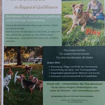 Hundeauslaufgebiet-Hundewiese Ruppach-Goldhausen-Bild