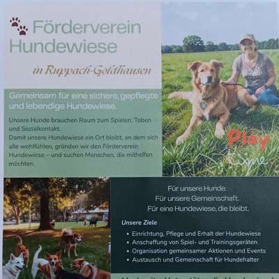 Hundetreffen-Informationstreffen Hundewiese Ruppach-Goldhausen.-Bild