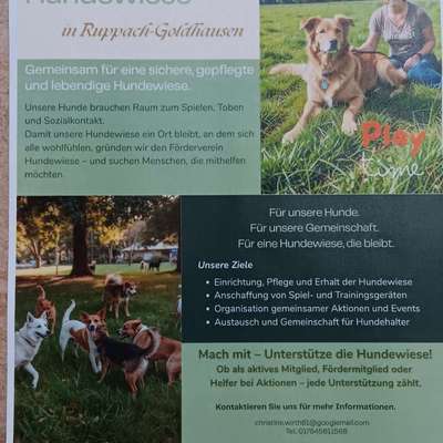Hundetreffen-Informationstreffen Hundewiese Ruppach-Goldhausen.-Bild