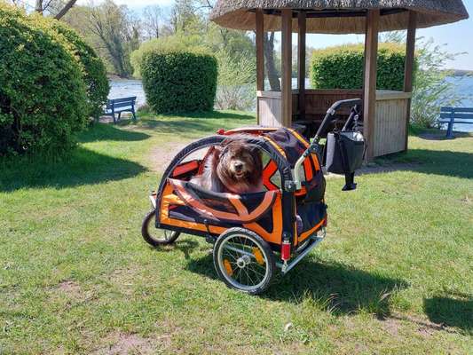 Unterwegs sein-Beitrag-Bild