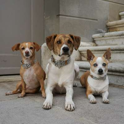 %{de_profession_title}-Positano Halsband-Bild