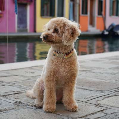 %{de_profession_title}-Burano Halsband-Bild