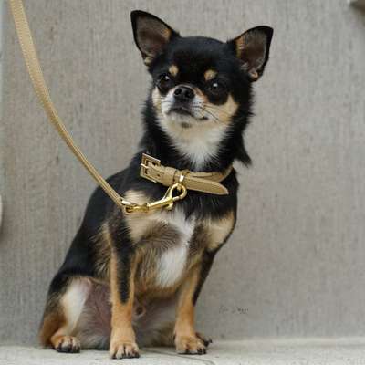 %{de_profession_title}-New York Halsband-Bild