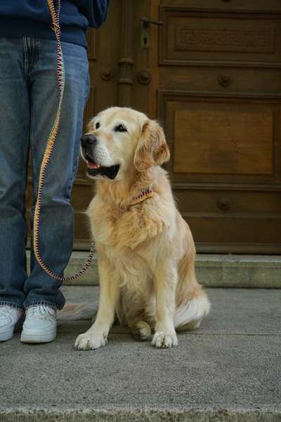 %{de_profession_title}-Burano Cityleine-Bild