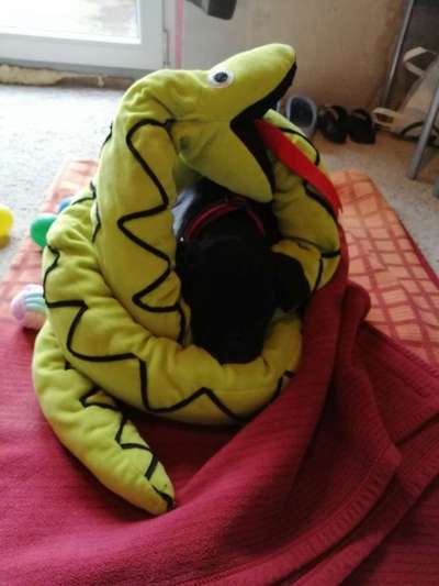 Fotochallange - Eingekugelt-Beitrag-Bild