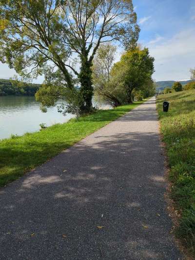 Hundeauslaufgebiet-Treppelweg-Bild