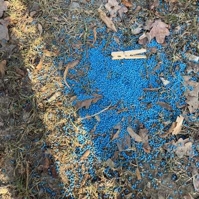 Giftköder-Giftköder-Bild