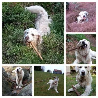 Zeige deinen Schatz mit seinem Lieblingsspielzeug.-Beitrag-Bild