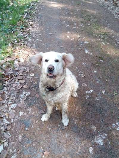 Foto Challenge Nr. 137 - Lass die Ohren fliegen-Beitrag-Bild