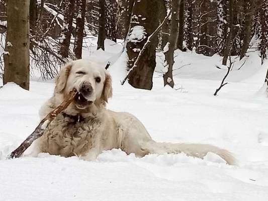 14. Farbenfoto-Challenge "Weiss"-Beitrag-Bild