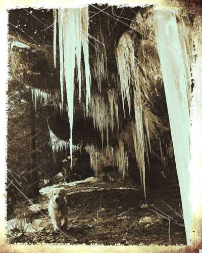 FarbenFoto - Challenge: Sepia-Beitrag-Bild