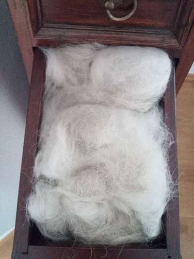 Foto Challenge Nr.135-Beitrag-Bild