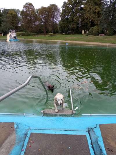 10. Farben Foto-Challenge ---- Blau-Beitrag-Bild