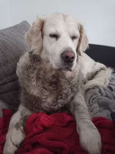 11. Farben Foto Challenge Rot-Beitrag-Bild