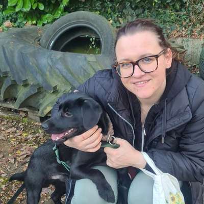 Hundetreffen-Gassirunden / Training-Bild
