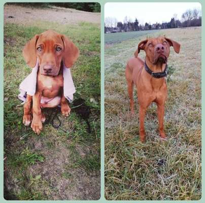 Vorher.... Nachher-Beitrag-Bild