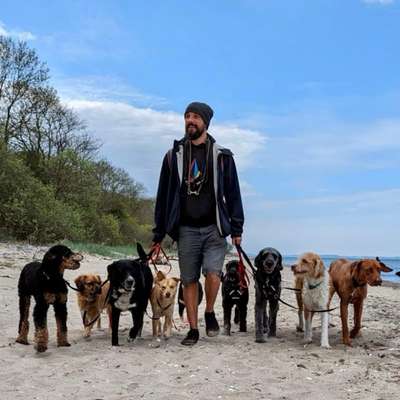 Weitere Unternehmen-Streuner_mobil-Bild