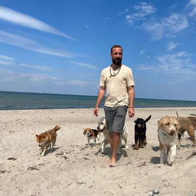 Giftköder-Outdoor Abenteuer für Hunde-Bild