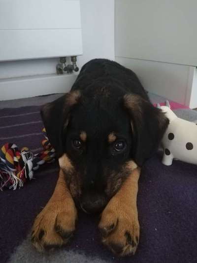 Fotochallange 84-Beitrag-Bild