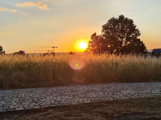 Hundeauslaufgebiet-Bismarcksäule-Bild