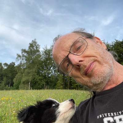 Klaus-Dieter's Profilbild