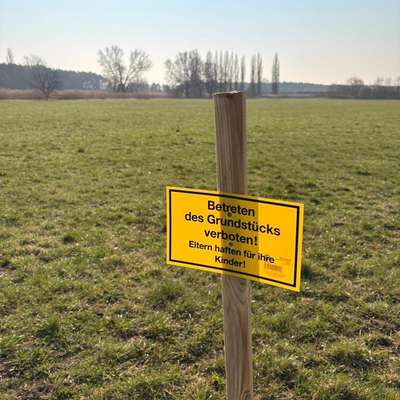 Hundeauslaufgebiet-Zur Bünte-Bild