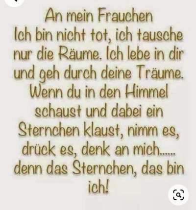 Unsere Fellnasen im Regenbogenland-Beitrag-Bild