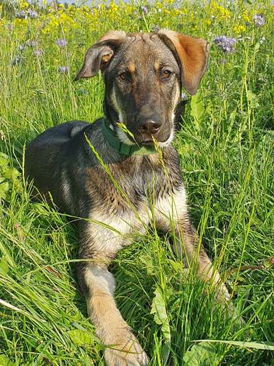 Doppelgänger gesucht !-Beitrag-Bild