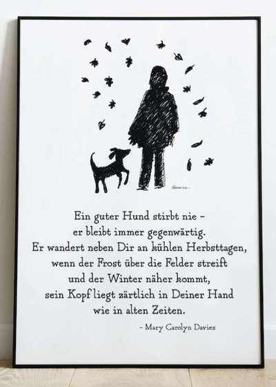 Unsere Fellnasen im Regenbogenland-Beitrag-Bild