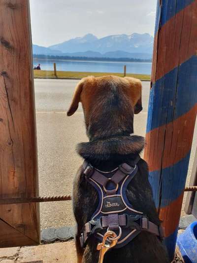 Fotochallenge Nr.100 Urlaubsimpressionen-Beitrag-Bild