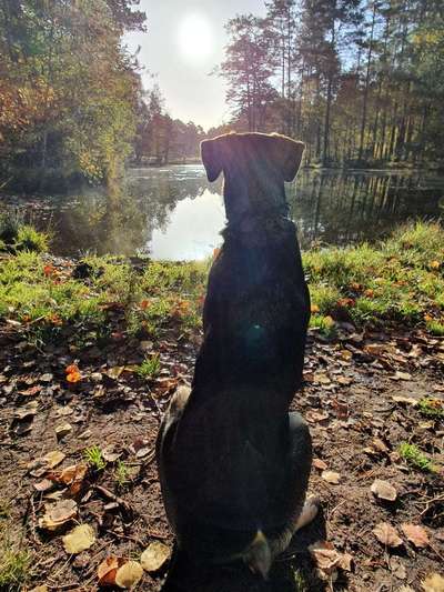 Zeigt eure Portraits-Beitrag-Bild