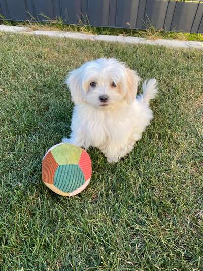 Fotochallenge Nr. 94 It's summer time-Beitrag-Bild